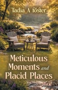 Meticulous Moments and Placid Places