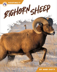 Bokomslag for "Bighorn Sheep"