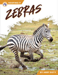 Bokomslag for "Zebras"