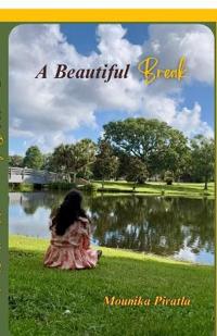 Bokomslag for "A Beautiful Break"