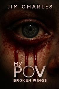 Bokomslag for "My POV"