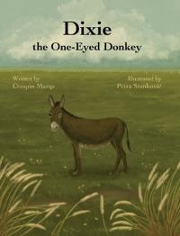 Dixie the One-Eyed Donkey
