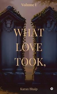 What Love Took,