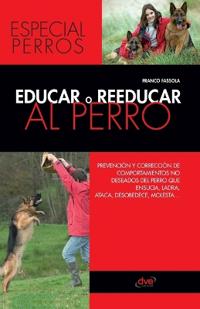 Educar o reeducar al perro