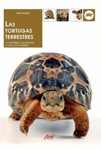 Las tortugas terrestres