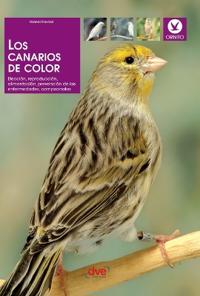 Los canarios de color