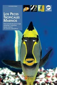 Los peces tropicales marinos