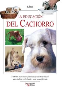 La educación del cachorro