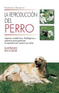 La reproducción del perro