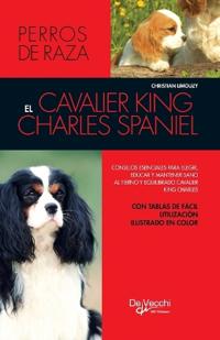 El cavalier king charles spaniel