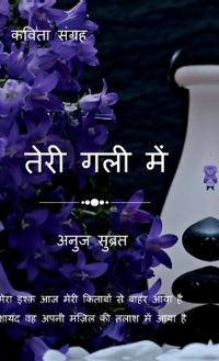 Teri gali me
