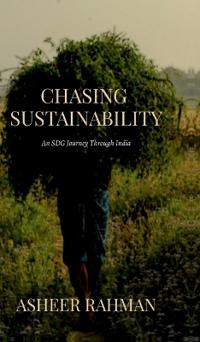 Chasing Sustainability