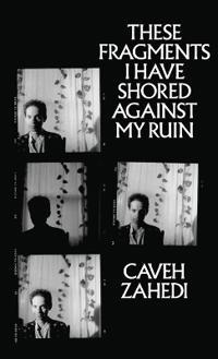 These Fragments I Have Shored Against My Ruin