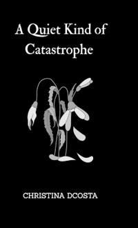 Bokomslag for "A Quiet Kind of Catastrophe"