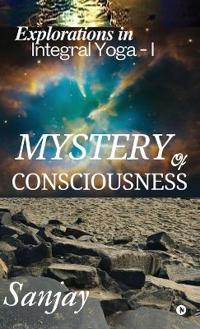 Bokomslag för "Mystery of Consciousness"