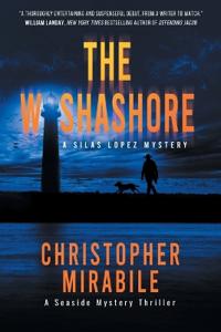 Bokomslag for "The Washashore"