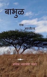 Bhabul