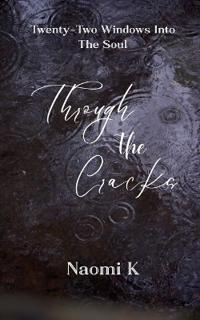 Through The Cracks Twenty-Two Windows Into The Soul