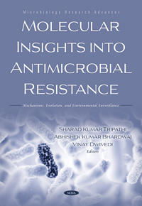 Molecular Insights into Antimicrobial Resistance: Mechanisms, Evolution, and Environmental Surveillance
