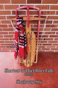Shortcut to Thief River Falls