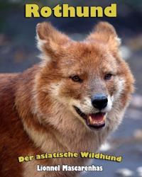 Rothund