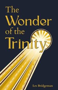 The Wonder of the Trinity