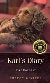 Bokomslag for "Karl's Diary"
