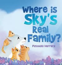 Bokomslag for "Where Is Sky's Real Family?"