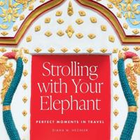 Strolling with Your Elephant