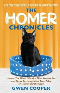 The Homer Chronicles