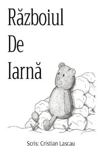 Razboiul De Iarna