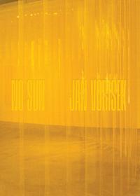 Jan Vorisek: Private Fictions