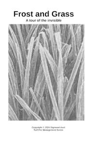 Frost and Grass