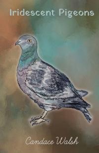 Iridescent Pigeons