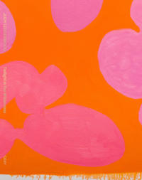 Judy Ledgerwood: Twilight in the Wilderness