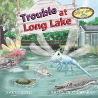 Bokomslag för "Trouble At Long Lake"