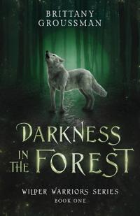 Darkness in the Forest