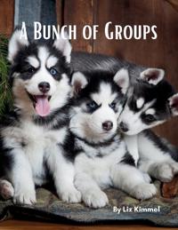 A Bunch of Groups
