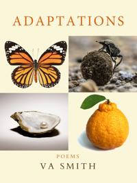 Adaptations