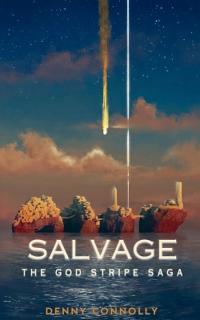 Bokomslag for "Salvage"