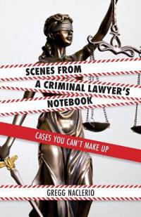 Scenes from a Criminal Lawyer's Notebook
