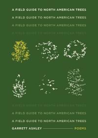 A Field Guide to North American Trees