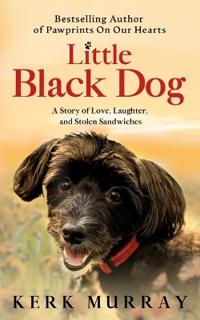 Bokomslag for "Little Black Dog"