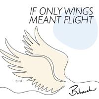 If Only Wings Meant Flight