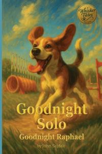 Goodnight Solo / Goodnight Raphael
