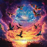 Where Do The Birds Go? A Mystical Journey