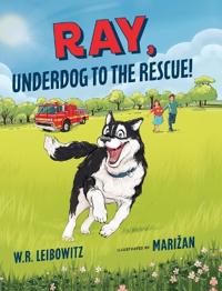 Bokomslag for "Ray, Underdog to the Rescue!"