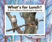 What's For Lunch