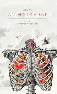 After the Anthropocene
