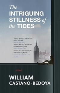 Bokomslag for "The Intriguing Stillness of the Tides"